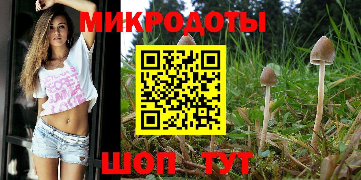 цена   Вход с VPN  Рубцовск  Галлюциногенные грибы Magic Shrooms 